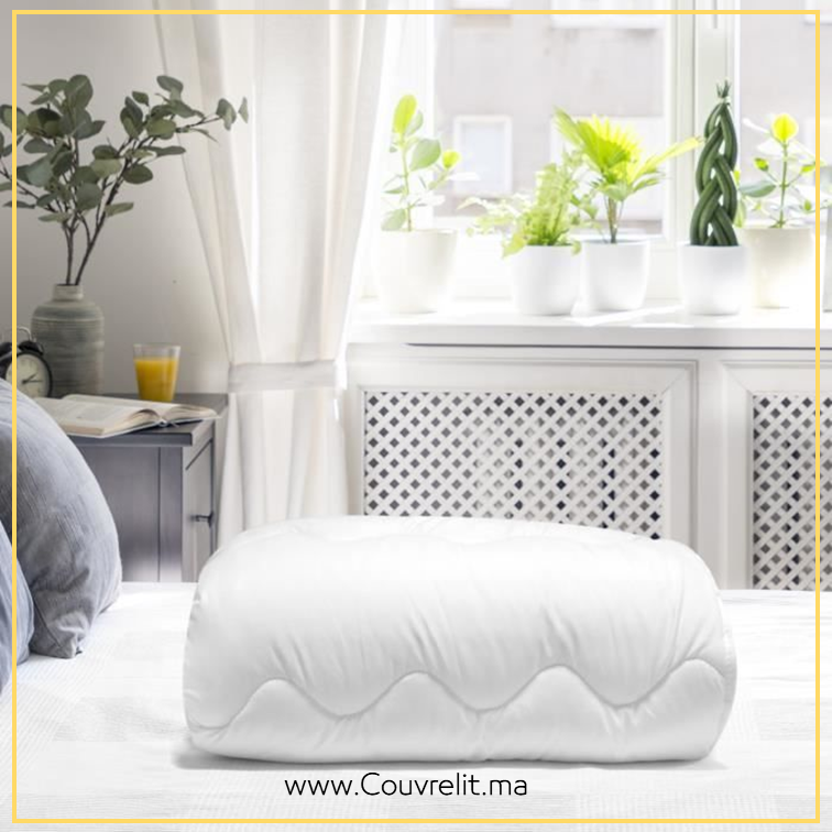 [2 Place] Couette Hiver | Chaude | Anti Acariens | Ultra Confort