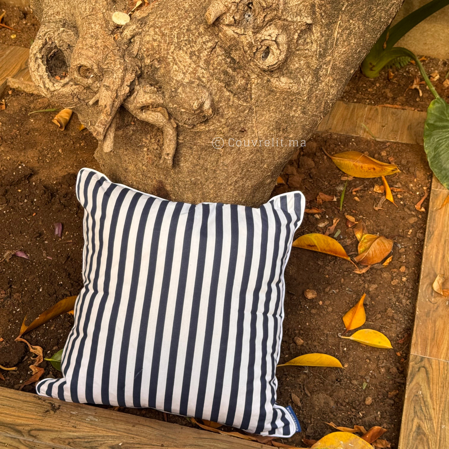 “Marin Bleu” Coussin de décoration 45x45 cm REF: CS0033